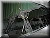 an225_058.jpg (81&nbsp;KB)