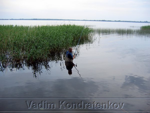 image_105.jpg