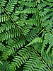 foto_008.jpg (99&nbsp;KB)