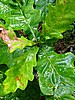 foto_016.jpg (88&nbsp;KB)