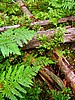 foto_017.jpg (130&nbsp;KB)