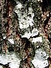 foto_025.jpg (120&nbsp;KB)