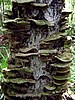 foto_026.jpg (86&nbsp;KB)