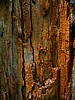 foto_027.jpg (85&nbsp;KB)