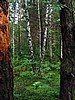 foto_028.jpg (105&nbsp;KB)