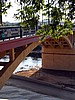 foto_034.jpg (91&nbsp;KB)