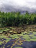 foto_045.jpg (91&nbsp;KB)