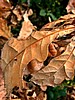 foto_050.jpg (66&nbsp;KB)