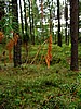 foto_055.jpg (75&nbsp;KB)