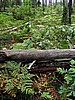 foto_056.jpg (129&nbsp;KB)