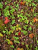 foto_058.jpg (140&nbsp;KB)