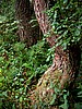 foto_062.jpg (107&nbsp;KB)