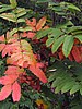 foto_065.jpg (79&nbsp;KB)