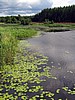 foto_067.jpg (89&nbsp;KB)