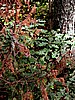 foto_071.jpg (136&nbsp;KB)