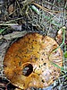 foto_072.jpg (99&nbsp;KB)
