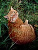 foto_078.jpg (86&nbsp;KB)