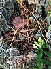 foto_079.jpg (114&nbsp;KB)