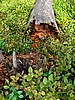 foto_080.jpg (120&nbsp;KB)