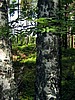 foto_084.jpg (103&nbsp;KB)