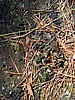 foto_086.jpg (149&nbsp;KB)