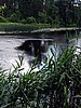 foto_088.jpg (104&nbsp;KB)