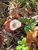 foto_091.jpg (102&nbsp;KB)