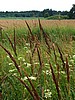foto_092.jpg (100&nbsp;KB)