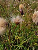 foto_097.jpg (75&nbsp;KB)