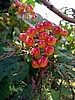 foto_098.jpg (63&nbsp;KB)