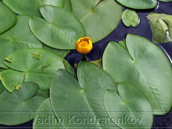 picture_022.jpg