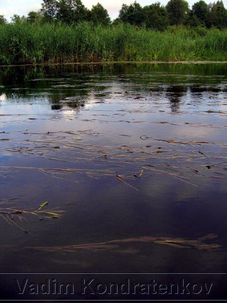 picture_030.jpg