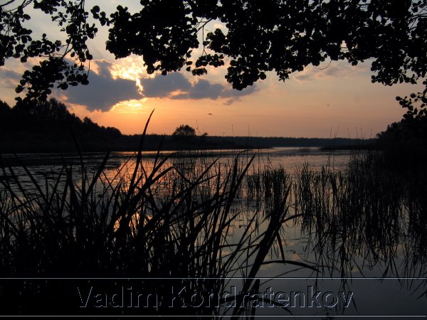 picture_083.jpg