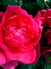 picture_007.jpg (49&nbsp;KB)