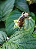 picture_008.jpg (53&nbsp;KB)