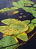 picture_029.jpg (64&nbsp;KB)