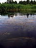 picture_030.jpg (64&nbsp;KB)