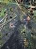 picture_033.jpg (118&nbsp;KB)