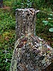 picture_034.jpg (117&nbsp;KB)