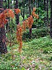 picture_036.jpg (128&nbsp;KB)
