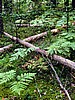 picture_037.jpg (144&nbsp;KB)