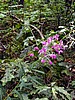 picture_038.jpg (120&nbsp;KB)