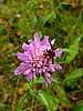 picture_040.jpg (55&nbsp;KB)