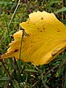 picture_041.jpg (70&nbsp;KB)