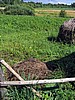 picture_044.jpg (117&nbsp;KB)