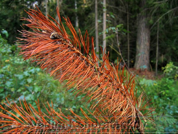 digital_004.jpg