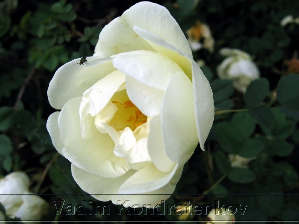 digital_009.jpg