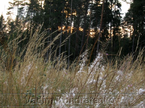 digital_010.jpg