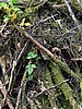 digital_002.jpg (131&nbsp;KB)