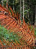 digital_004.jpg (94&nbsp;KB)